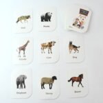 childkraft 32-Piece Animal Flash Cards Set