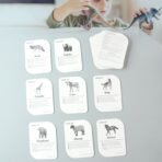 childkraft 32-Piece Animal Flash Cards Set - Image 3
